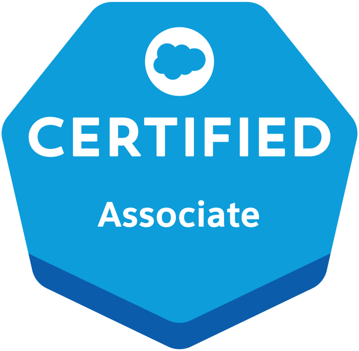 Salesforce ai associate certification dumps