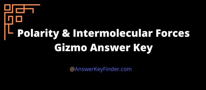 Gizmo polarity and intermolecular forces