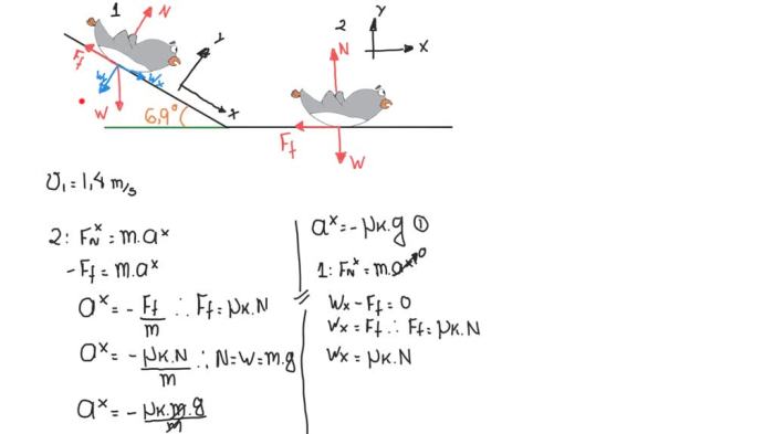 A penguin slides at a constant velocity