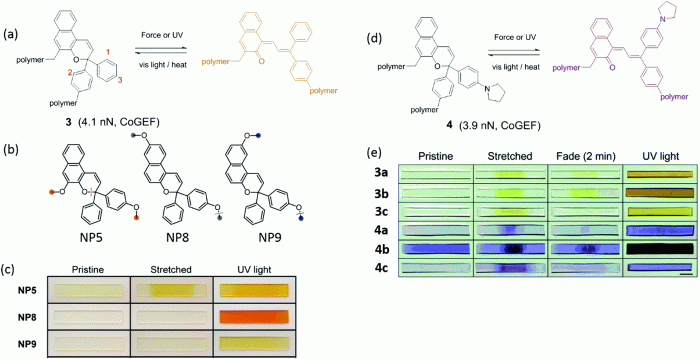 Gizmo polarity and intermolecular forces