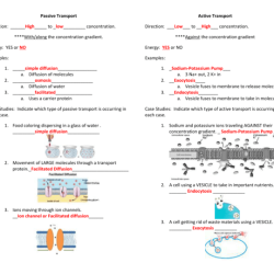 Amoeba sisters traveling molecules answer key