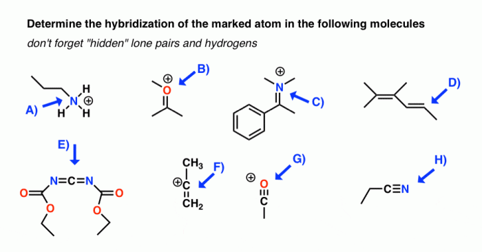 Hybridization phosphorus each molecules following transcribed text show