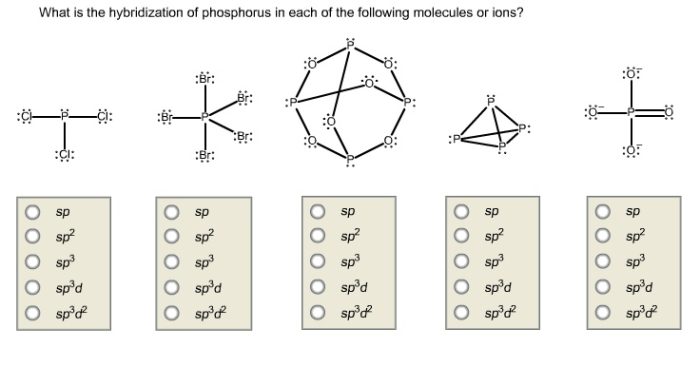 Determine the hybridization of phosphorus in each molecule or ion.